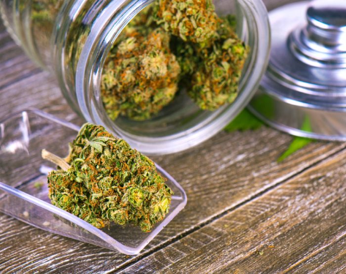 Premium cannabis flower