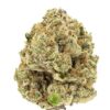 AMPLIFIED FARMS – Super Sour Diesel 3.5g