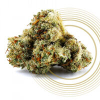 Almora Farm – Sweet Diesel 3.5g - Image 2