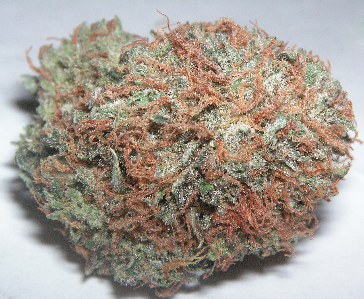Bubba Kush flower photograph