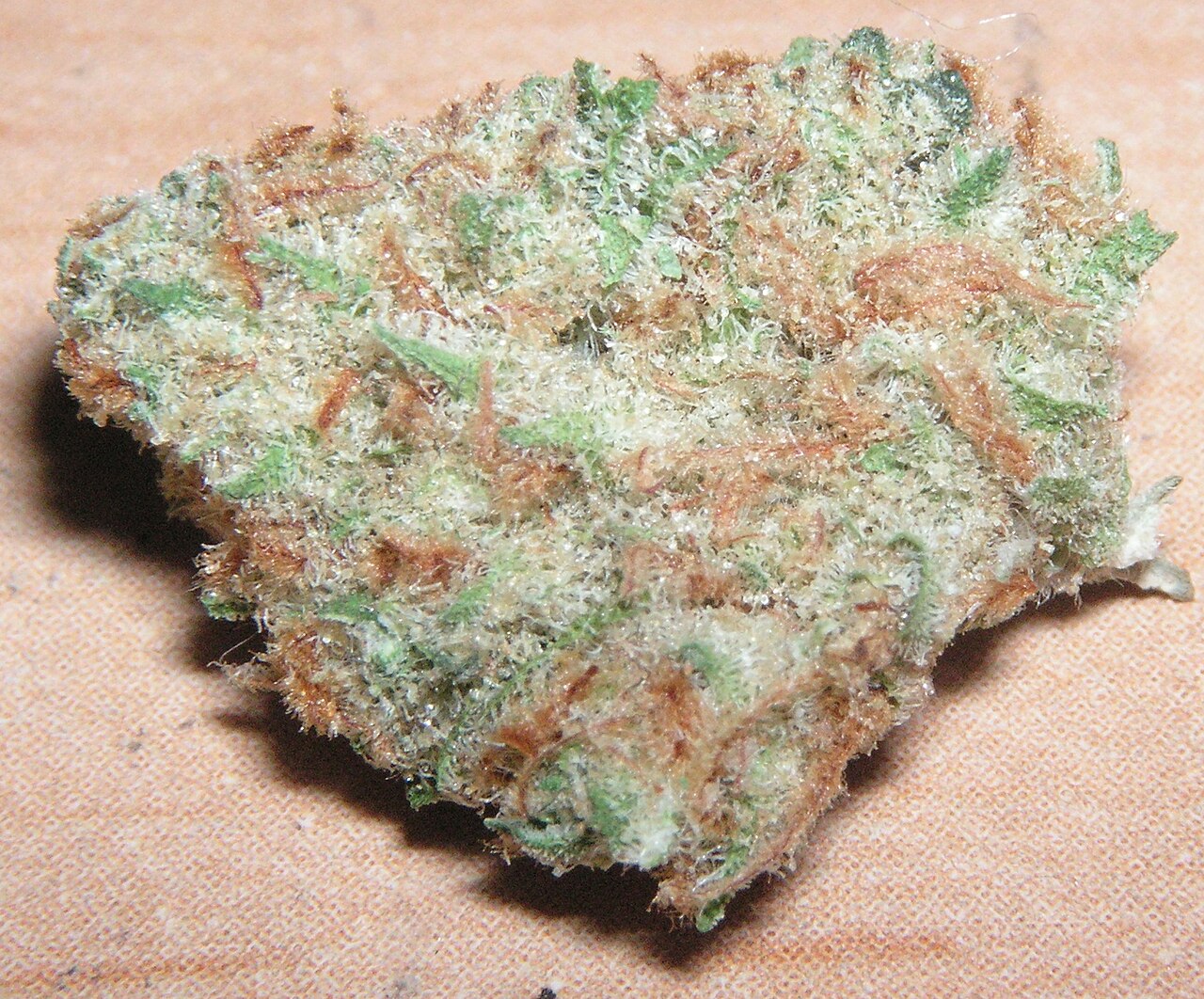 Green Crack Extreme flower photograph