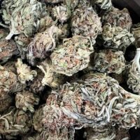 King Kush AA - Hybrid