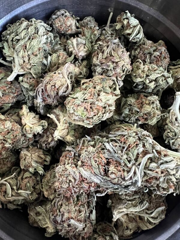 King Kush AA - Hybrid