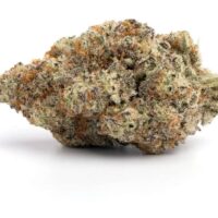 Purple Unicorn - Sativa