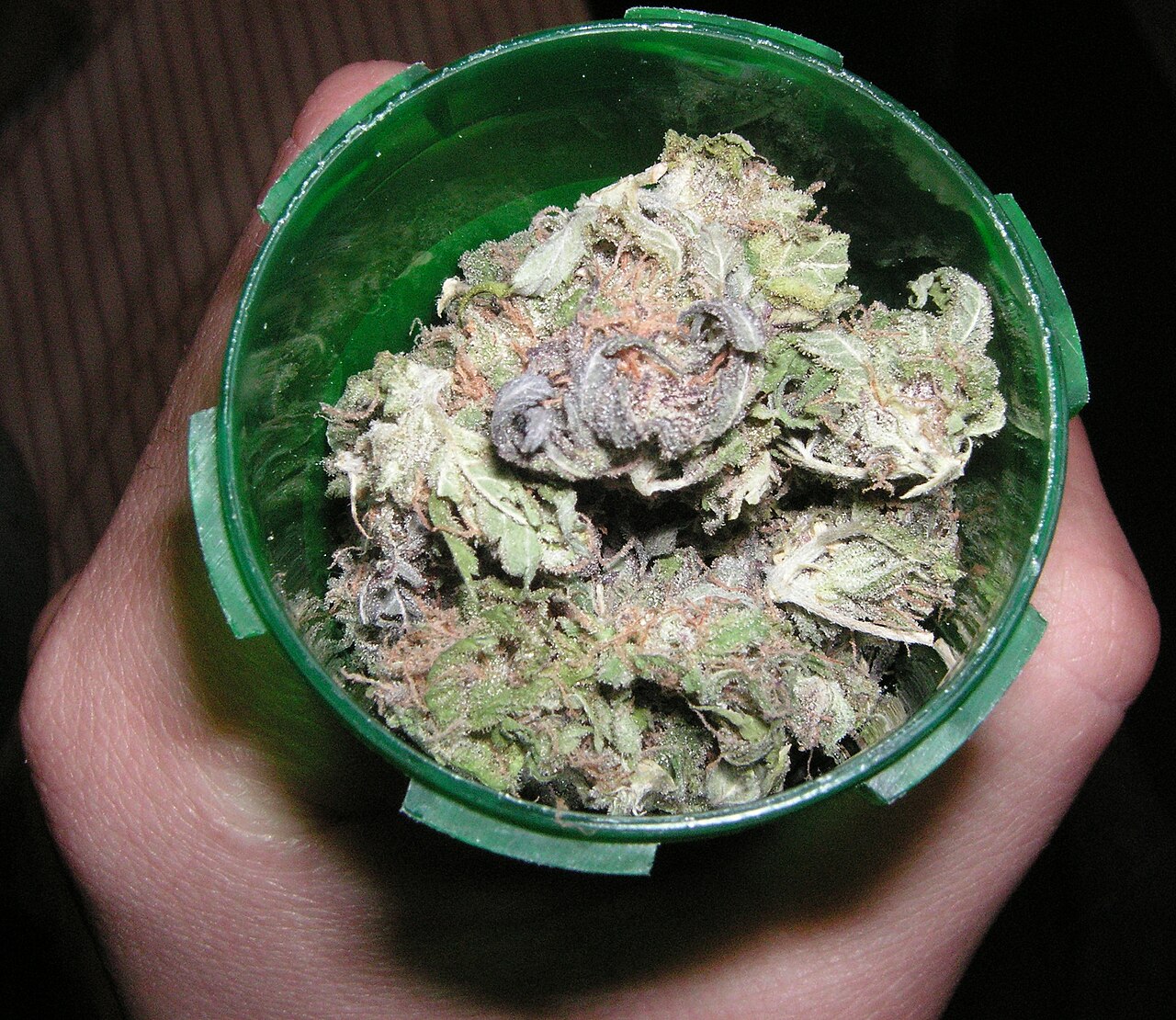 Purple Urkle flower photograph