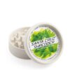 Santa Cruz Shredder ECO