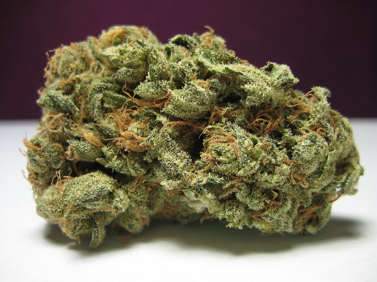 Super Skunk flower photograph